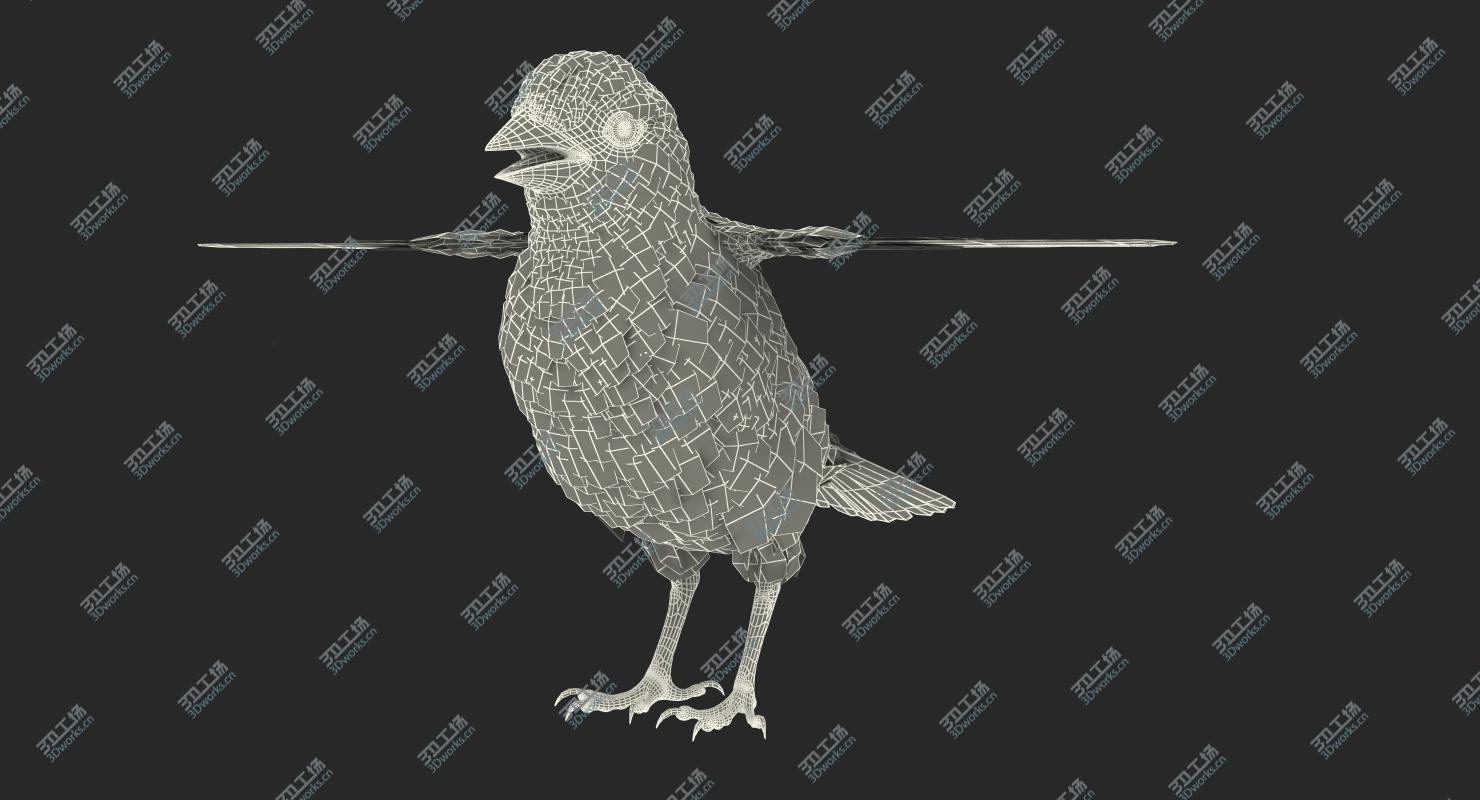 images/goods_img/2021040164/3D House Sparrow Rigged/5.jpg